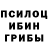 Галлюциногенные грибы Psilocybine cubensis 6e3DywHblu_ EDgap