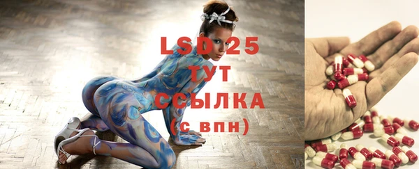 трава Новозыбков