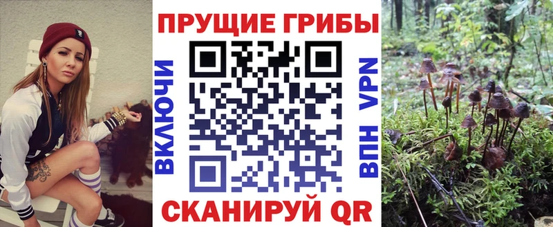 Галлюциногенные грибы Psilocybe  наркотики  Надым 